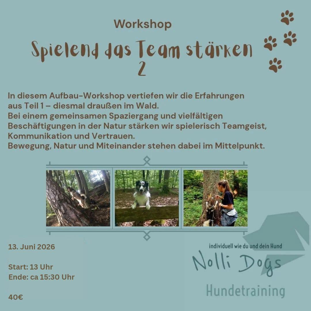 Flyer zum Workshop „Spielend das Team stärken“
