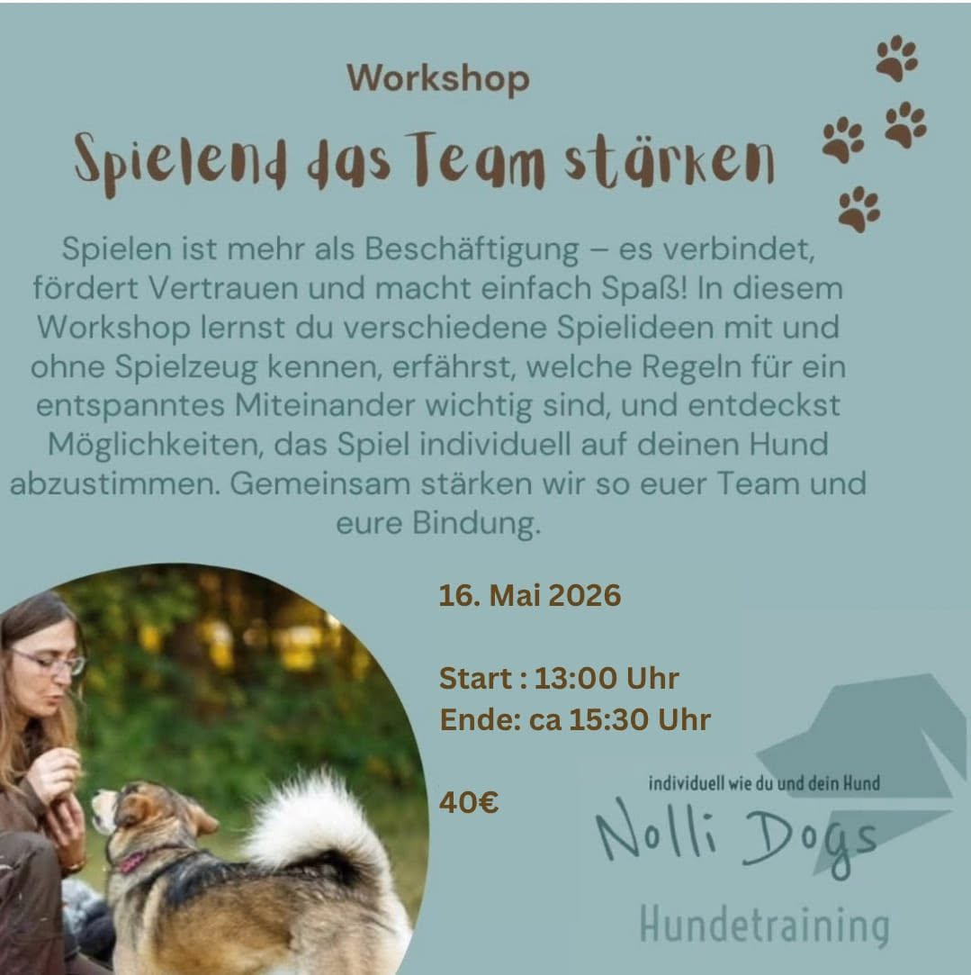 Flyer zum Workshop „Spielend das Team stärken 2“